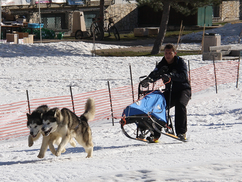 winter camp