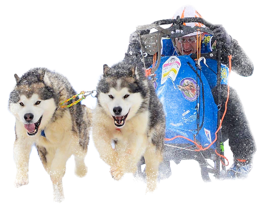 del biagio sleddog team