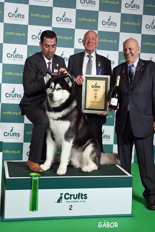 Black Star Del Biagio