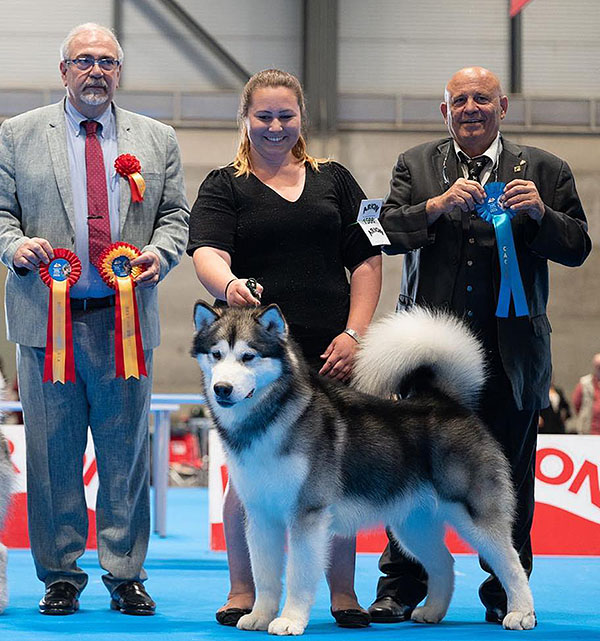 Capitan Futuro Del Biagio
