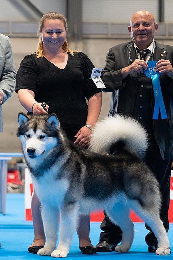 Capitan Futuro Del Biagio