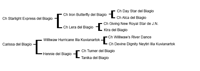 genealogia vincent