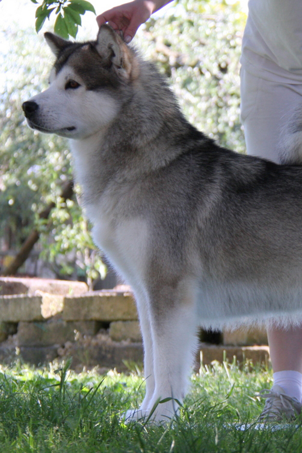 Girl Power Del Biagio