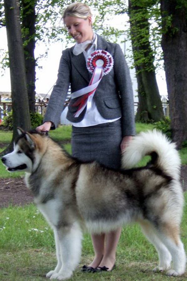 Giving a New Royal Star de J.N.