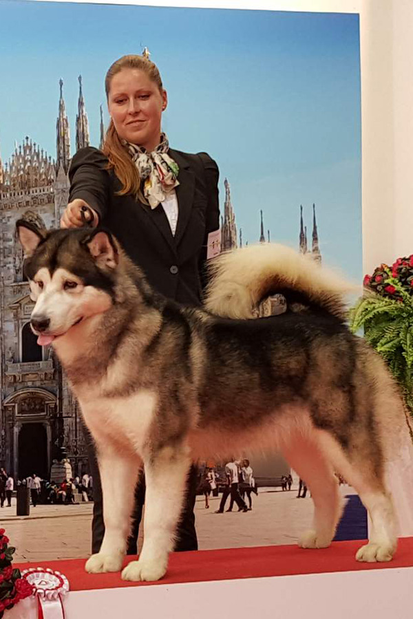 Kaya Del Biagio