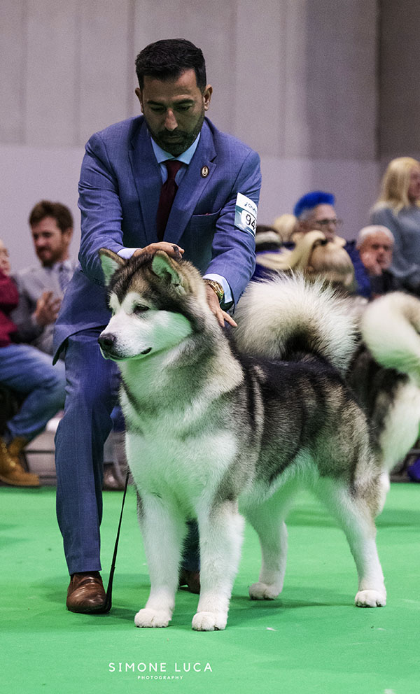 Start With a Kiss Del Biagio