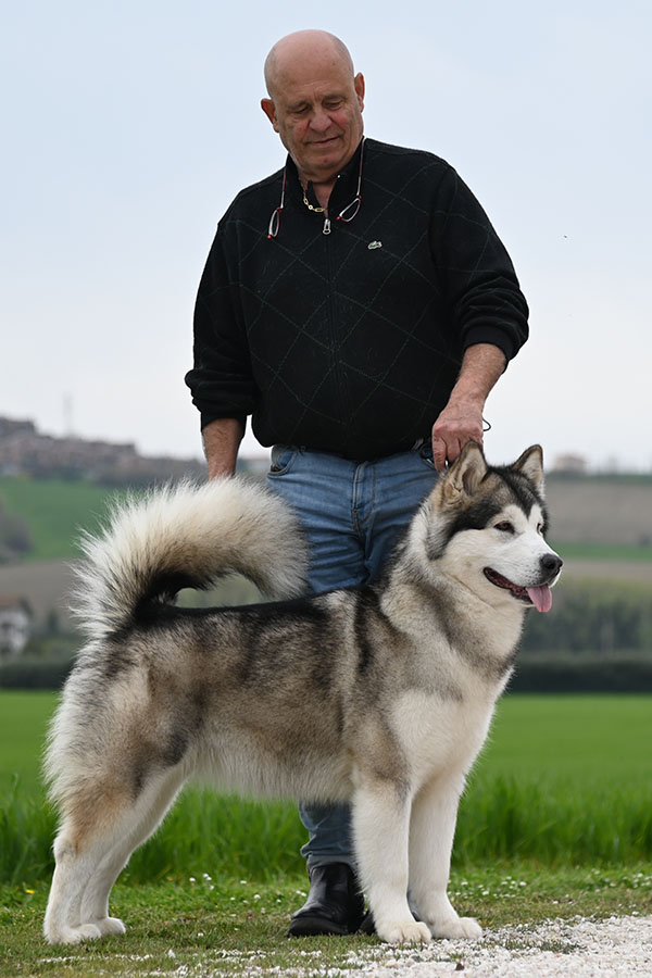 Start With a Kiss Del Biagio