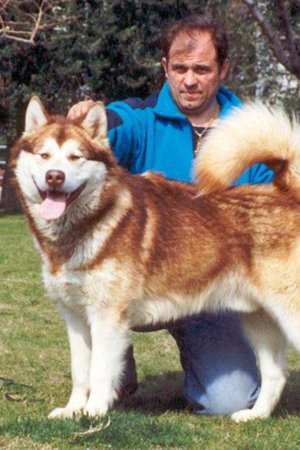 Red Flower Del Biagio